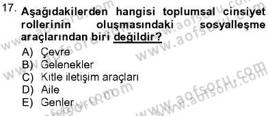 Toplumsal Yaşamda Aile Dersi 2012 - 2013 Yılı (Vize) Ara Sınav Soruları 17. Soru