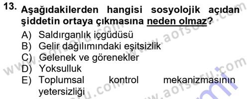 Toplumsal Yaşamda Aile Dersi 2012 - 2013 Yılı (Final) Dönem Sonu Sınav Soruları 13. Soru