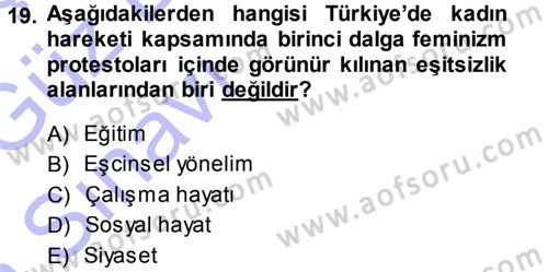 Toplumsal Yaşamda Aile Dersi 2013 - 2014 Yılı (Vize) Ara Sınav Soruları 19. Soru