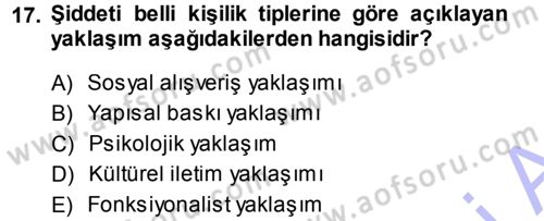 Toplumsal Yaşamda Aile Dersi 2013 - 2014 Yılı (Final) Dönem Sonu Sınav Soruları 17. Soru