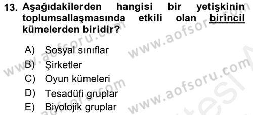 Toplumsal Yaşamda Aile Dersi 2017 - 2018 Yılı 3 Ders Sınav Soruları 13. Soru