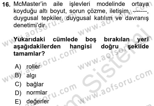 Toplumsal Yaşamda Aile Dersi 2017 - 2018 Yılı (Vize) Ara Sınav Soruları 16. Soru