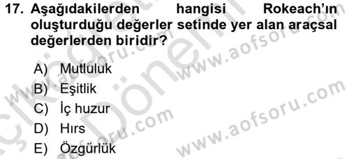Toplumsal Yaşamda Aile Dersi 2017 - 2018 Yılı (Vize) Ara Sınav Soruları 17. Soru