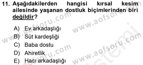 Toplumsal Yaşamda Aile Dersi 2017 - 2018 Yılı (Final) Dönem Sonu Sınav Soruları 11. Soru