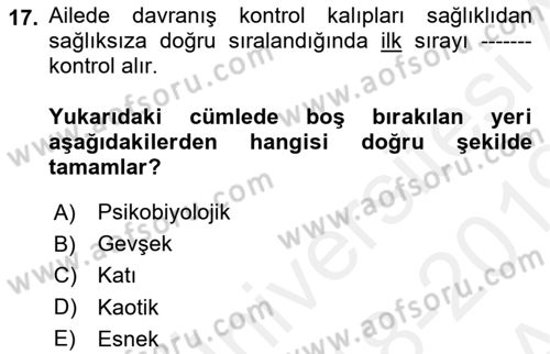 Toplumsal Yaşamda Aile Dersi 2018 - 2019 Yılı (Vize) Ara Sınav Soruları 17. Soru