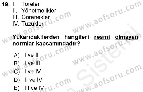 Toplumsal Yaşamda Aile Dersi 2018 - 2019 Yılı (Vize) Ara Sınav Soruları 19. Soru