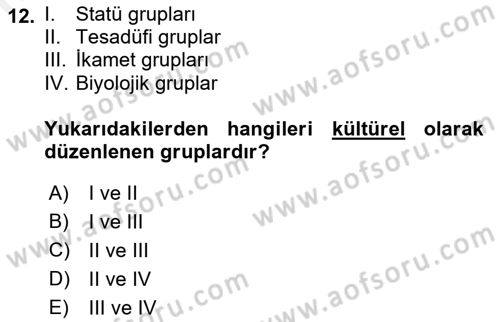 Toplumsal Yaşamda Aile Dersi 2018 - 2019 Yılı (Final) Dönem Sonu Sınav Soruları 12. Soru