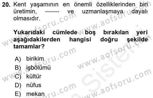 Toplumsal Yaşamda Aile Dersi 2018 - 2019 Yılı (Final) Dönem Sonu Sınav Soruları 20. Soru