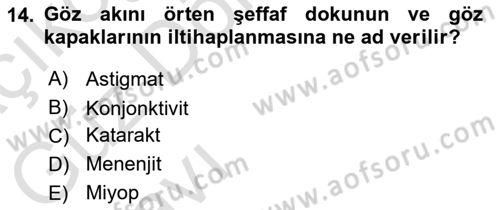 Toplumsal Yaşamda Aile Dersi 2022 - 2023 Yılı (Vize) Ara Sınav Soruları 14. Soru