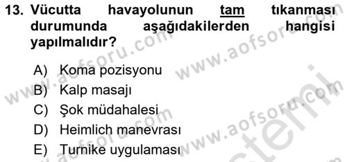 Toplumsal Yaşamda Aile Dersi 2024 - 2025 Yılı (Vize) Ara Sınav Soruları 13. Soru