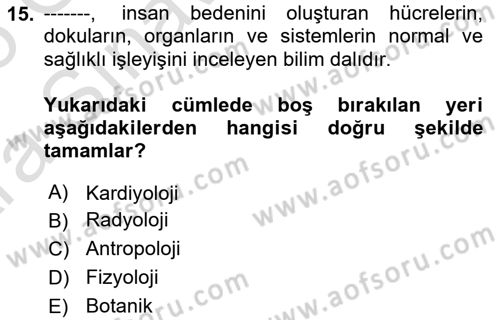 Toplumsal Yaşamda Aile Dersi 2024 - 2025 Yılı (Vize) Ara Sınav Soruları 15. Soru