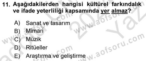Toplumsal Yaşamda Aile Dersi 2024 - 2025 Yılı Yaz Okulu Sınav Soruları 11. Soru