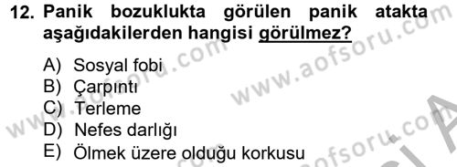 Aile Psikolojisi ve Eğitimi Dersi 2012 - 2013 Yılı (Final) Dönem Sonu Sınav Soruları 12. Soru