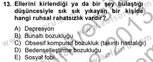 Aile Psikolojisi ve Eğitimi Dersi 2012 - 2013 Yılı (Final) Dönem Sonu Sınav Soruları 13. Soru