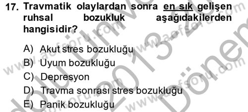 Aile Psikolojisi ve Eğitimi Dersi 2013 - 2014 Yılı (Final) Dönem Sonu Sınav Soruları 17. Soru