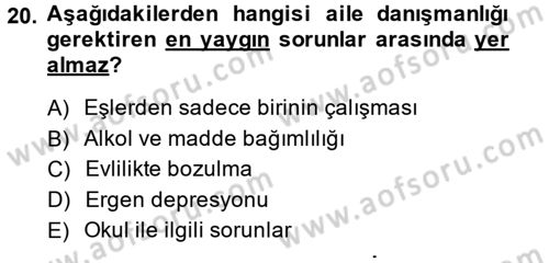 Aile Psikolojisi ve Eğitimi Dersi 2013 - 2014 Yılı Tek Ders Sınav Soruları 20. Soru