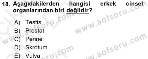 Aile Psikolojisi ve Eğitimi Dersi 2015 - 2016 Yılı (Vize) Ara Sınav Soruları 18. Soru