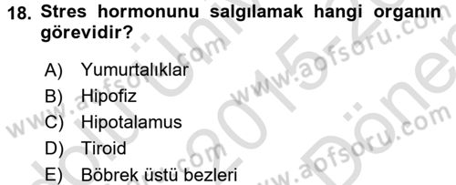 Aile Psikolojisi ve Eğitimi Dersi 2015 - 2016 Yılı (Final) Dönem Sonu Sınav Soruları 18. Soru