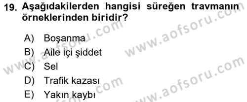 Aile Psikolojisi ve Eğitimi Dersi 2015 - 2016 Yılı (Final) Dönem Sonu Sınav Soruları 19. Soru