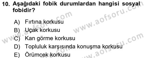 Aile Psikolojisi ve Eğitimi Dersi 2016 - 2017 Yılı (Final) Dönem Sonu Sınav Soruları 10. Soru