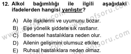 Aile Psikolojisi ve Eğitimi Dersi 2018 - 2019 Yılı 3 Ders Sınav Soruları 12. Soru
