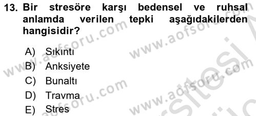 Aile Psikolojisi ve Eğitimi Dersi 2018 - 2019 Yılı 3 Ders Sınav Soruları 13. Soru
