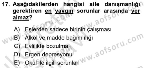 Aile Psikolojisi ve Eğitimi Dersi 2018 - 2019 Yılı 3 Ders Sınav Soruları 17. Soru
