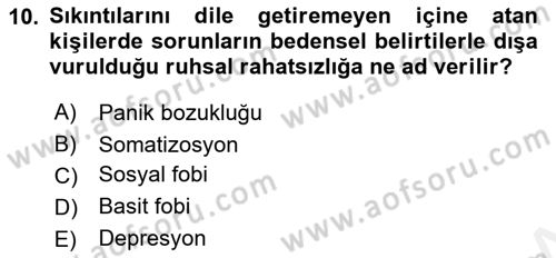 Aile Psikolojisi ve Eğitimi Dersi 2018 - 2019 Yılı (Final) Dönem Sonu Sınav Soruları 10. Soru