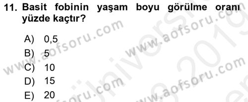 Aile Psikolojisi ve Eğitimi Dersi 2018 - 2019 Yılı (Final) Dönem Sonu Sınav Soruları 11. Soru