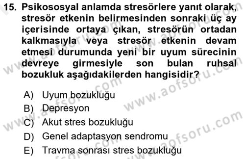 Aile Psikolojisi ve Eğitimi Dersi 2018 - 2019 Yılı (Final) Dönem Sonu Sınav Soruları 15. Soru