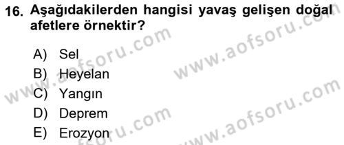 Aile Psikolojisi ve Eğitimi Dersi 2018 - 2019 Yılı (Final) Dönem Sonu Sınav Soruları 16. Soru