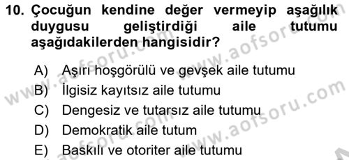 Aile Psikolojisi ve Eğitimi Dersi 2018 - 2019 Yılı Yaz Okulu Sınav Soruları 10. Soru