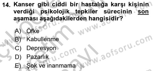 Aile Psikolojisi ve Eğitimi Dersi 2018 - 2019 Yılı Yaz Okulu Sınav Soruları 14. Soru