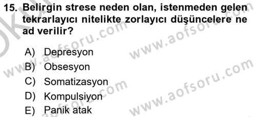 Aile Psikolojisi ve Eğitimi Dersi 2018 - 2019 Yılı Yaz Okulu Sınav Soruları 15. Soru