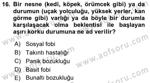 Aile Psikolojisi ve Eğitimi Dersi 2018 - 2019 Yılı Yaz Okulu Sınav Soruları 16. Soru