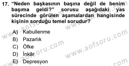 Aile Psikolojisi ve Eğitimi Dersi 2018 - 2019 Yılı Yaz Okulu Sınav Soruları 17. Soru