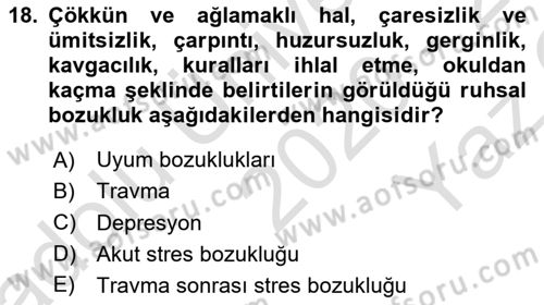 Aile Psikolojisi ve Eğitimi Dersi 2020 - 2021 Yılı Yaz Okulu Sınav Soruları 18. Soru