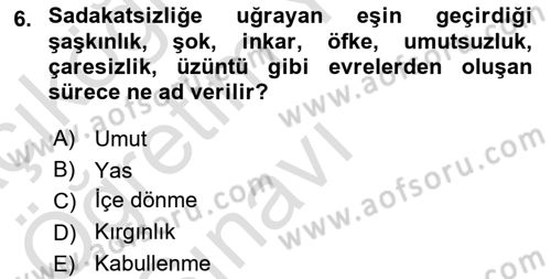 Aile Psikolojisi ve Eğitimi Dersi 2020 - 2021 Yılı Yaz Okulu Sınav Soruları 6. Soru