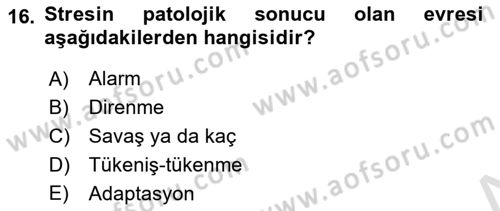 Aile Psikolojisi ve Eğitimi Dersi 2021 - 2022 Yılı (Final) Dönem Sonu Sınav Soruları 16. Soru