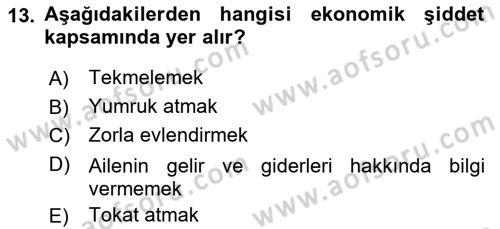 Aile Psikolojisi ve Eğitimi Dersi 2021 - 2022 Yılı Yaz Okulu Sınav Soruları 13. Soru