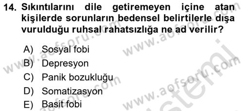 Aile Psikolojisi ve Eğitimi Dersi 2021 - 2022 Yılı Yaz Okulu Sınav Soruları 14. Soru