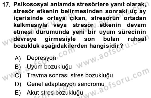 Aile Psikolojisi ve Eğitimi Dersi 2021 - 2022 Yılı Yaz Okulu Sınav Soruları 17. Soru