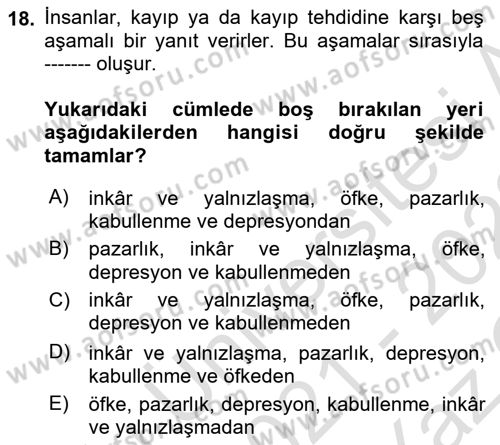 Aile Psikolojisi ve Eğitimi Dersi 2021 - 2022 Yılı Yaz Okulu Sınav Soruları 18. Soru