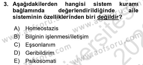 Aile Psikolojisi ve Eğitimi Dersi 2021 - 2022 Yılı Yaz Okulu Sınav Soruları 3. Soru