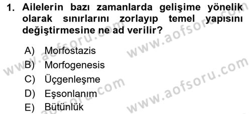 Aile Psikolojisi ve Eğitimi Dersi 2022 - 2023 Yılı Yaz Okulu Sınav Soruları 1. Soru