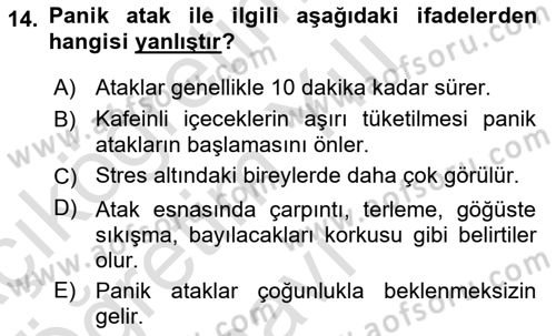 Aile Psikolojisi ve Eğitimi Dersi 2022 - 2023 Yılı Yaz Okulu Sınav Soruları 14. Soru