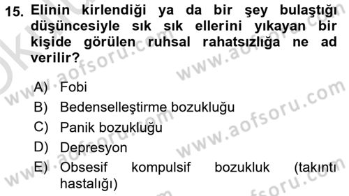 Aile Psikolojisi ve Eğitimi Dersi 2022 - 2023 Yılı Yaz Okulu Sınav Soruları 15. Soru