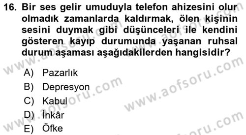 Aile Psikolojisi ve Eğitimi Dersi 2022 - 2023 Yılı Yaz Okulu Sınav Soruları 16. Soru