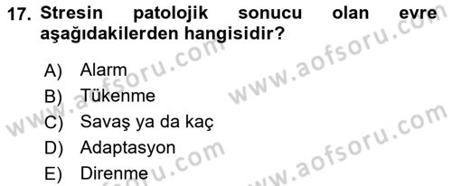 Aile Psikolojisi ve Eğitimi Dersi 2022 - 2023 Yılı Yaz Okulu Sınav Soruları 17. Soru