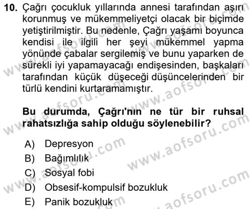 Aile Psikolojisi ve Eğitimi Dersi 2023 - 2024 Yılı (Final) Dönem Sonu Sınav Soruları 10. Soru